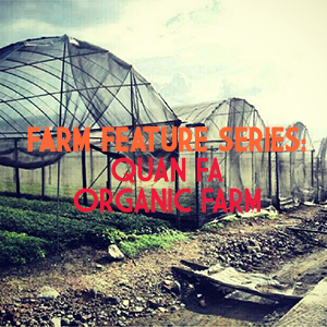 Farm Feature Quan Fa